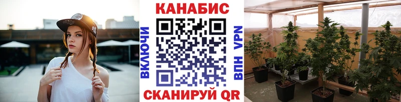 shop какой сайт  Карабаш  Канабис сатива  хочу наркоту 
